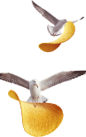 Palomas con papas